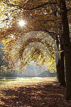 Tiergarten in Berlin