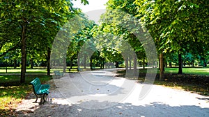 Tiergarten berlin photo