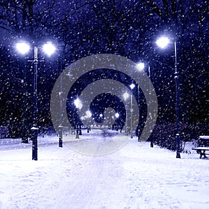 Tiergarten berlin by night