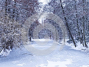 Tiergarten in winter photo