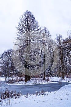 Tiergarten in winter photo