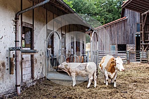 Tierpark Sommerhausen.