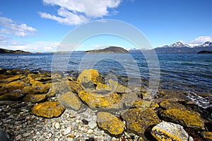 Tierra Del Fuego National Park near Ushuaia, photo