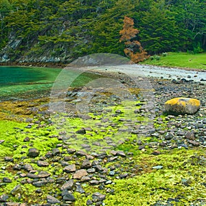 Tierra Del Fuego National Park near Ushuaia, photo
