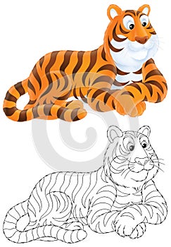 Tiger