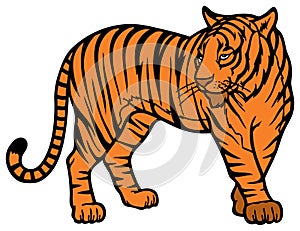 Tiger