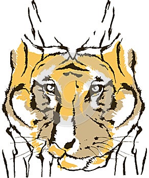 Tiger abstract animal design design