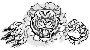 Tiger Angry Mascot Background Claws Breakthrough
