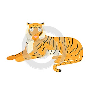 Tiger animal isolated on white, big bengal cat vector illustration. Wildlife striped predator,one wild undomesticated