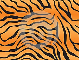 Tiger Background