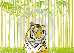 Tiger in bamboo jungle illustration