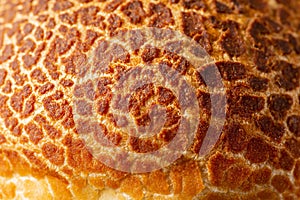 Tiger Bread Roll