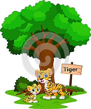 Tiger cartoon with his cute son
