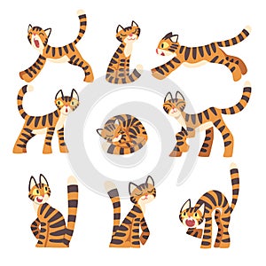 Tiger Character with Orange Fur and Black Stripes Cuddling and Sitting Vector Set