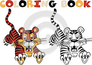 Tiger. Coloring book. Coloring book. photo