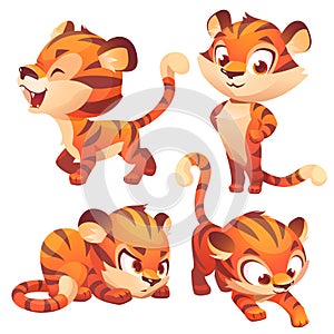 Tiger cub cute character hunting, slink and roar.