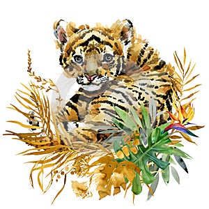 Tiger cub watercolor illustration. Jungle wild animal