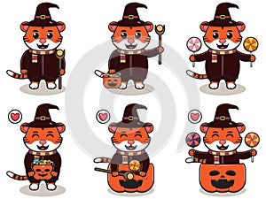 Tiger cute Halloween set Wizard