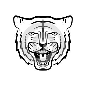 Tiger face. Roaring tiger head. Vector.