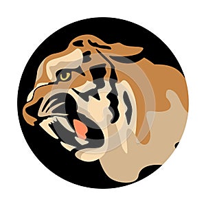 tiger face, vector illustration, flat style