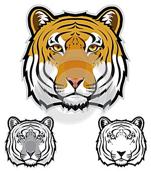 Tiger Faces