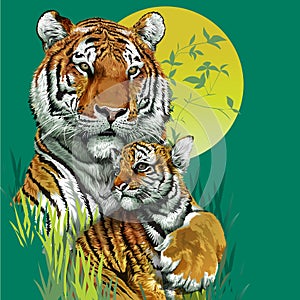 Tiger family in jungle.