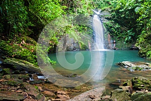 Tiger Fern waterfall in Cockscomb Basin Wildlife Sanctuary, Beliz photo