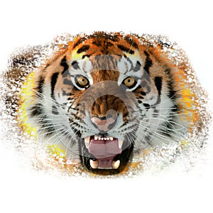 Tiger on fire symbol of the year