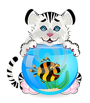 Tiger with fish in aquarium