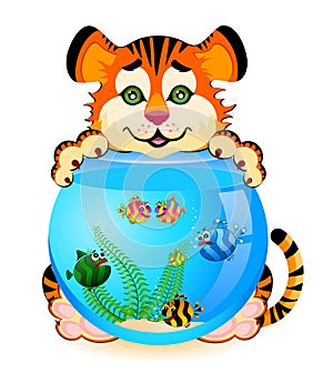 Tiger with fish in aquarium