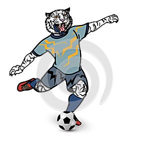 Tiger football player is kicking football on white background