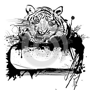 Tiger and frame