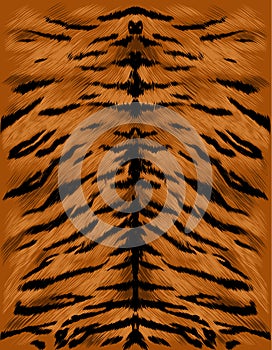 Tiger fur texture sketch vector