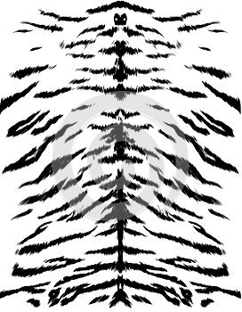 Tiger fur texture sketch vector