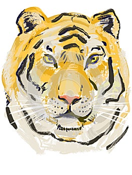 Tiger. hand drawn sketch.