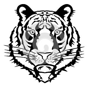 Tiger head