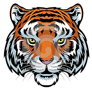 Tiger head