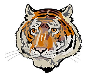 Tiger head