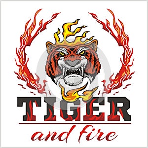 Tiger head hand and fire - vector illustration