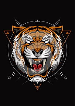 The Tiger head illustration on the black background