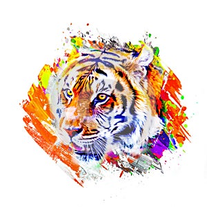 Tiger head illustration color art