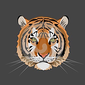 Tiger Head. Jungle animal. Wild cat vector illustration