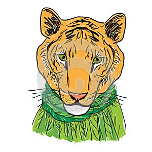 Tiger head in a knitted sweater and a green scarf. Sketch drawing. Black contour on a white background. Vector