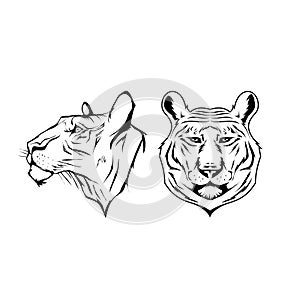 Tiger head logo or icon. Stock illustration.