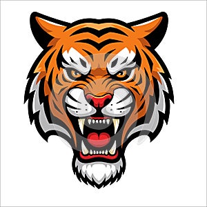 Tiger Head Logo Vector Illustration
