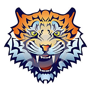 Tiger head with an open mouth and bared fangs - color vector illustration