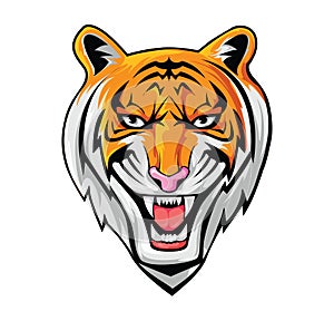 Tiger Head Realistic Art Color Illustration Design