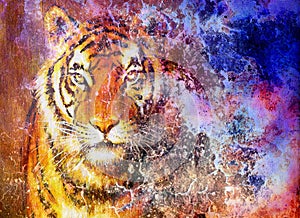 tiger head in space with stars, computer collage.