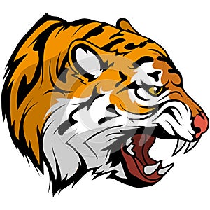 Tiger head vector drawing, tiger face drawing sketch, tiger head colored drawing