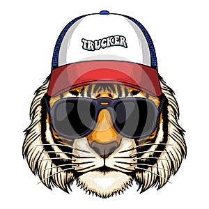 Tiger head wearing trucker hat cap vector illustration